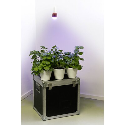 Venso Növény lámpa 113 mm 230 V E27 7 W Semleges fehér Izzólámpa forma 1 db