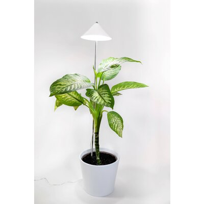 Venso LED növény lámpa, növekedés SUNLiTE XL 25 W Weiß 230 V Fixen beépített LED-es 25 W Semleges fehér 1 db
