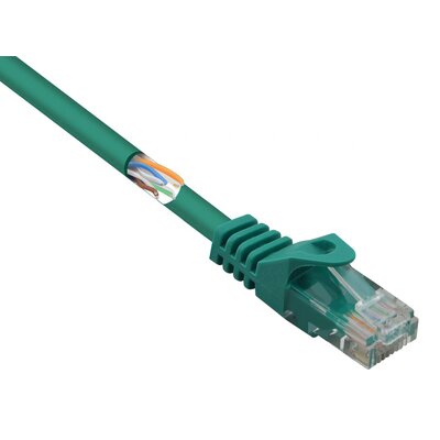Basetech BT-2348163 RJ45 Hálózati kábel, patchkábel CAT 5e U/UTP 15.00 m Zöld Védővel 1 db