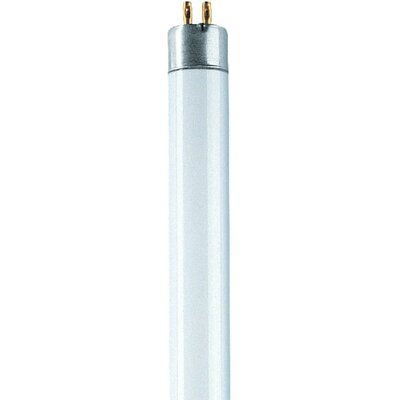 Fénycső 1200 mm OSRAM 230 V G13 36 W Hidegfehér EEK: A Cső forma 1 db
